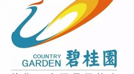 呼叫中心成功客户之碧桂园物业